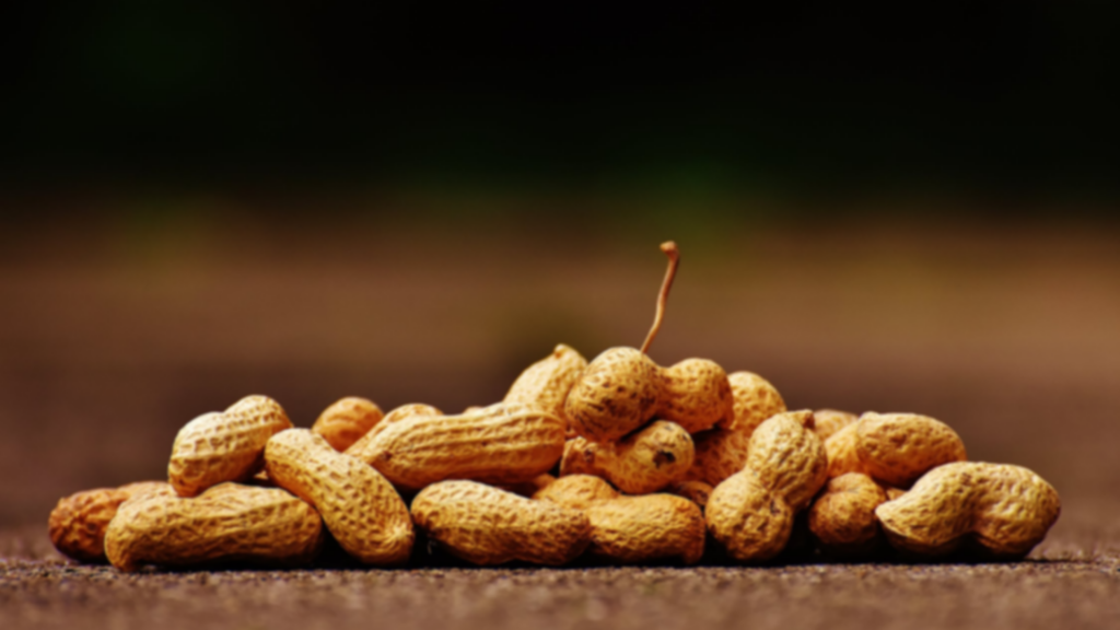 pile of monkey nuts example of allergen management & Sap Business One