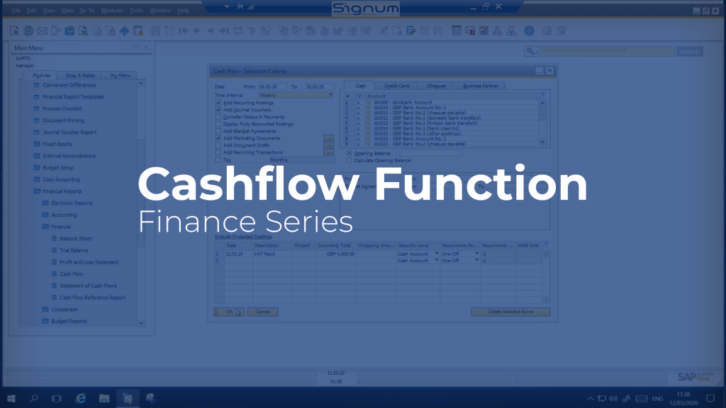 SAP Business One Cash Flow function video cover image