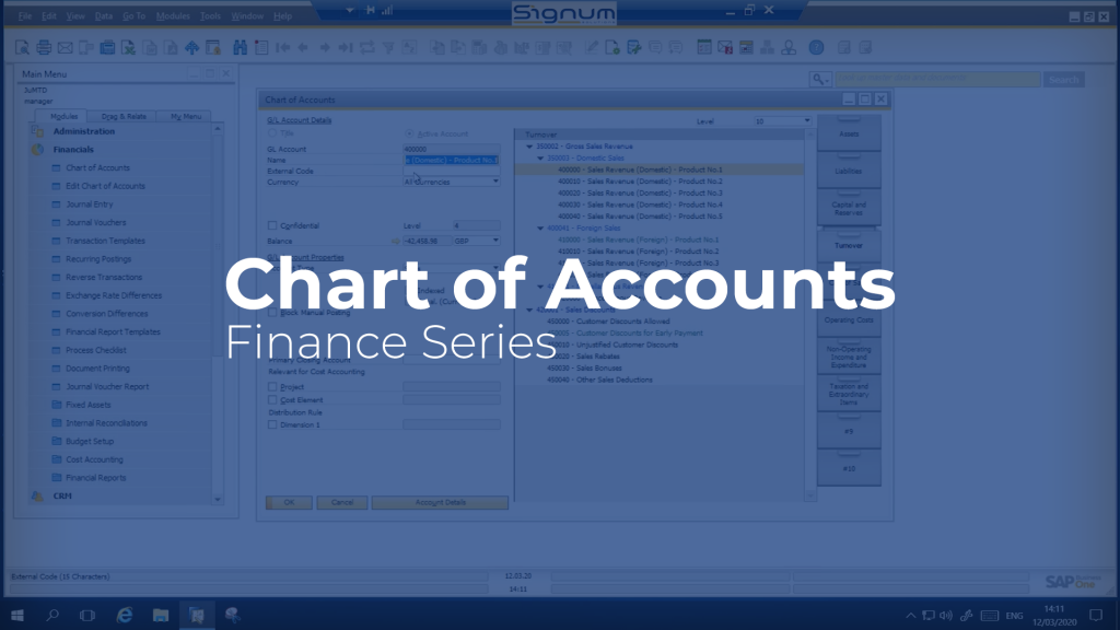 SAP Business One Chart of Accounts video cover image