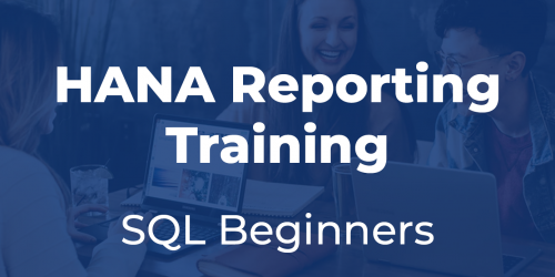sap business one HANA SQL beginners training