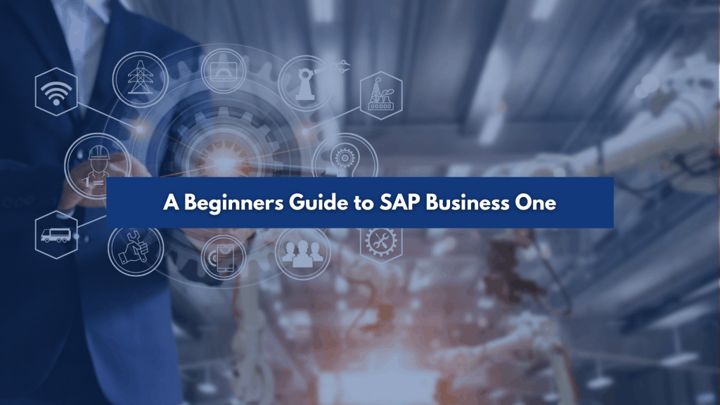 A Beginners Guide to SAP Business One