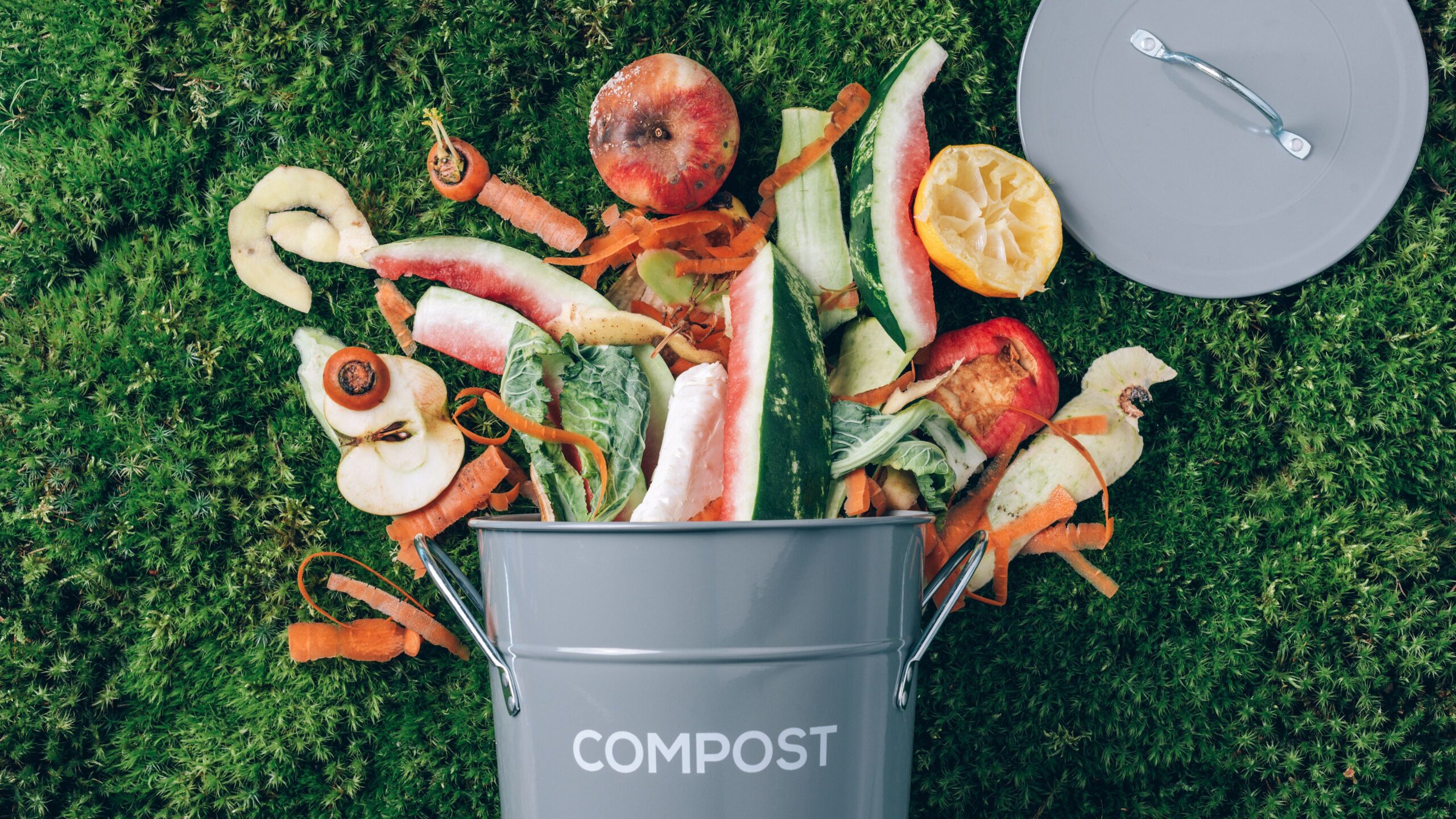 Food Waste and ERP