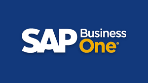 Beginners Guide to SAP Business One 9.1 Accounts payable in sap business one