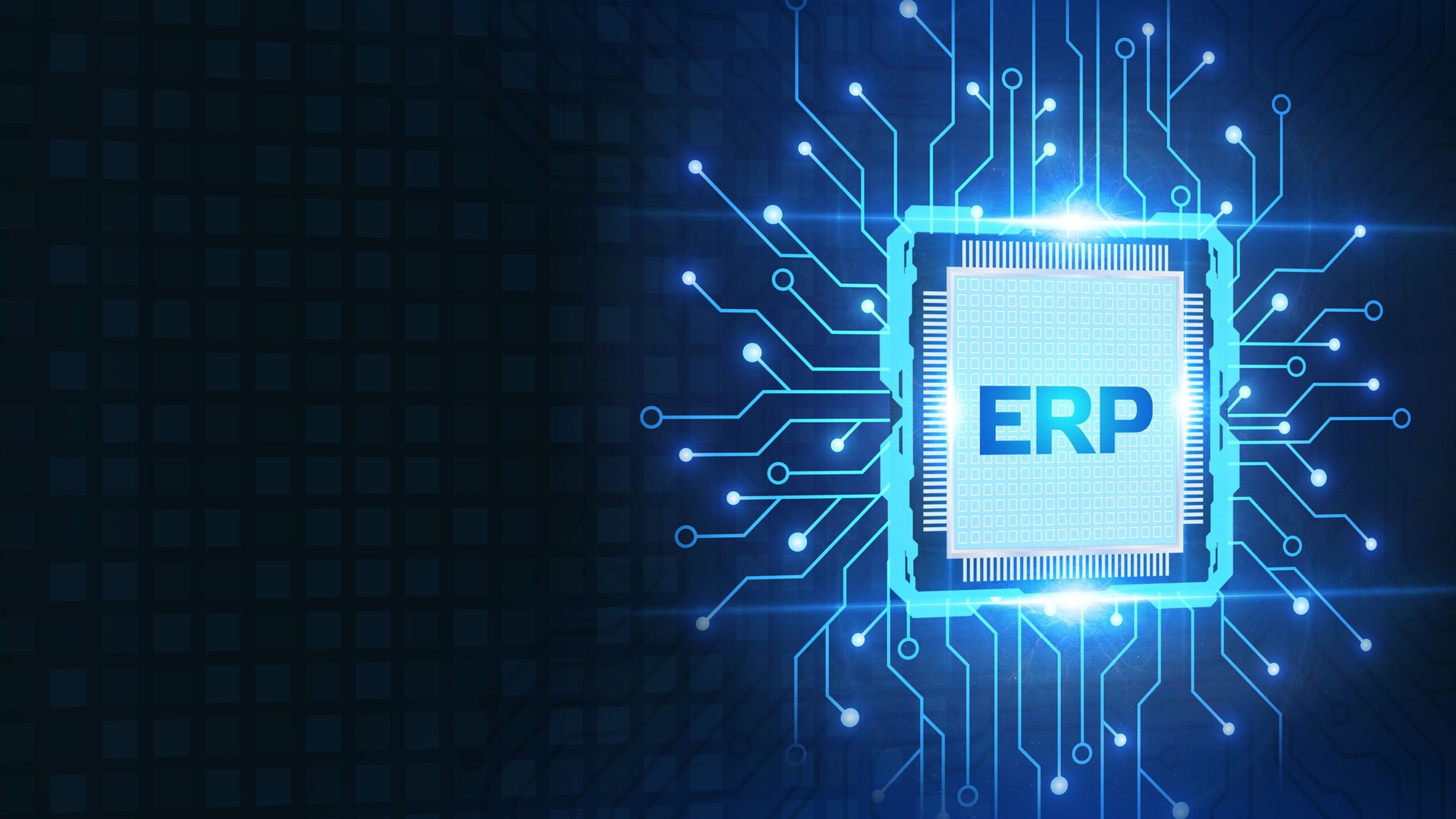 What is ERP for Small Business