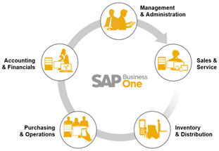 SAP business one modules