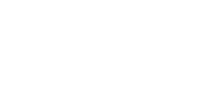 Link Distribution White Transparent Logo