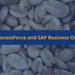 ProcessForce and SAP Business One blog image