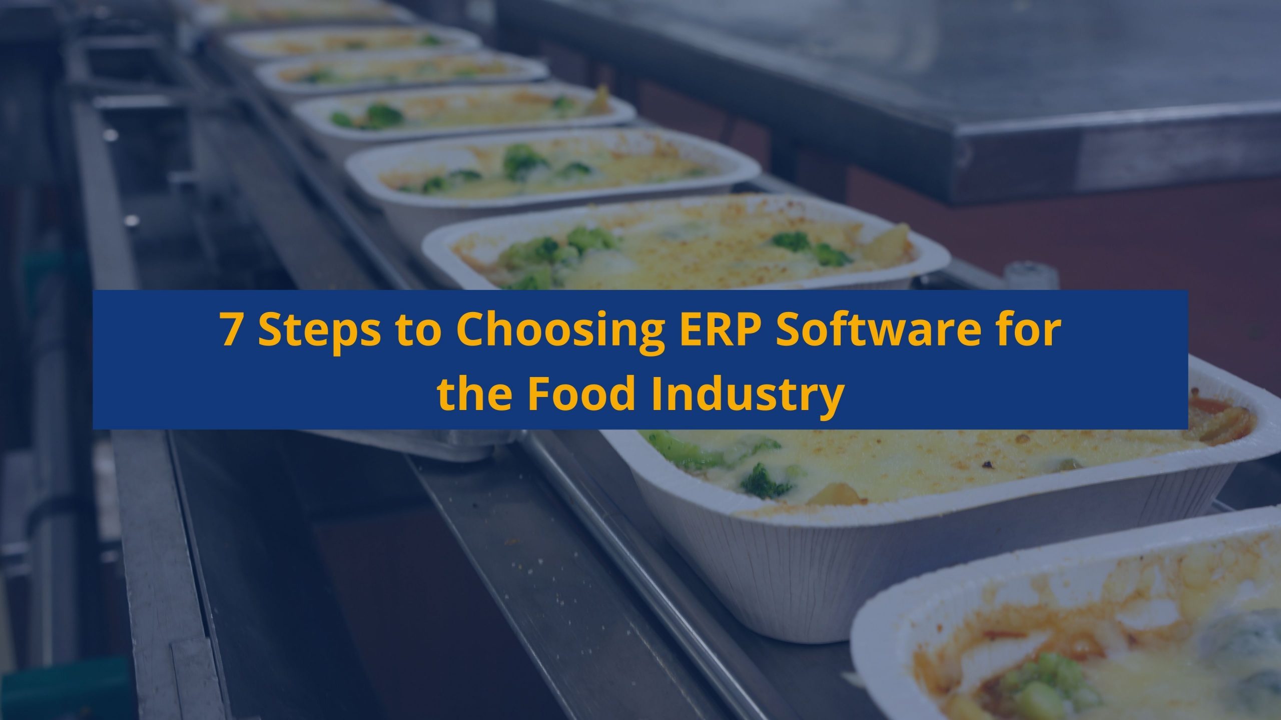 7 Steps to Choosing ERP Software for the Food Industry