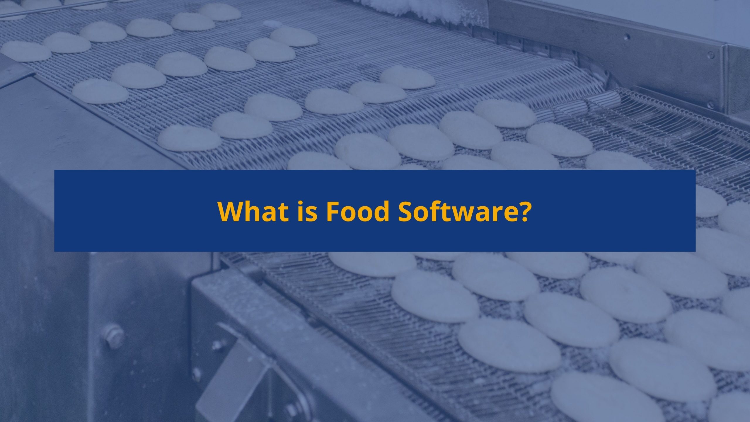 What is food software blog image