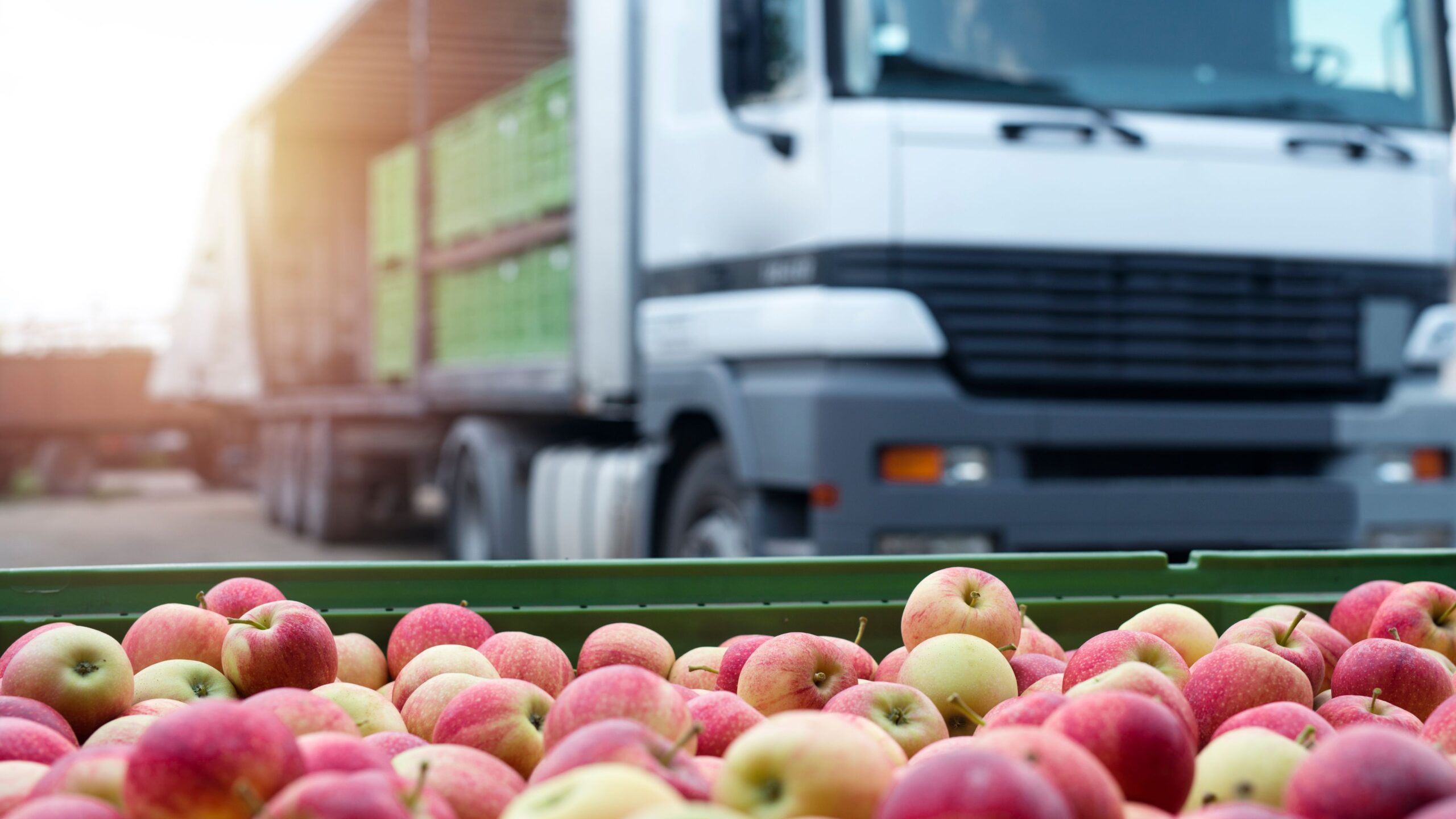 Food Distribution Software Helps Organize Food Inventory