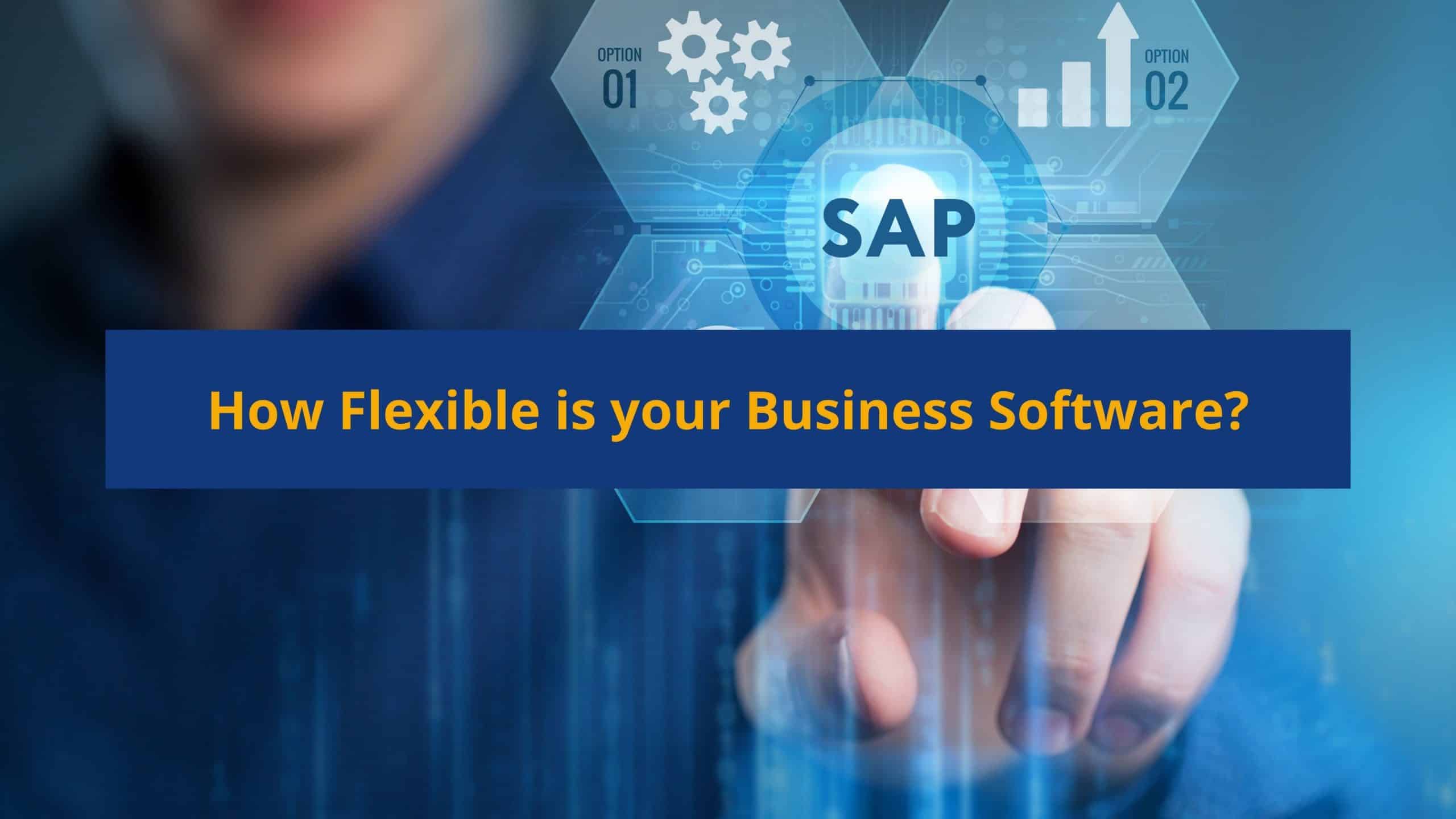 How Flexible is your Business Software?