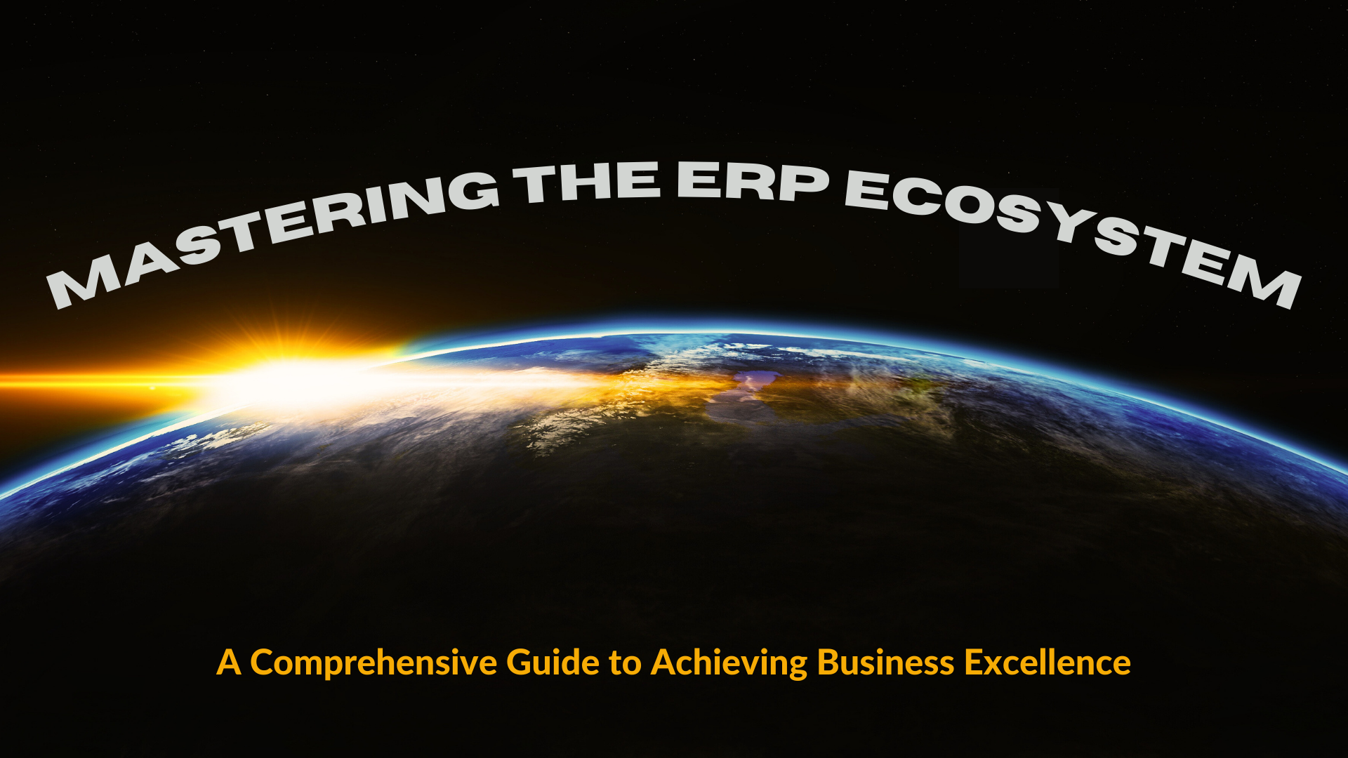 erp software - Mastering the ERP Ecosystem COVER