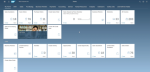 SAP Business One Web Client