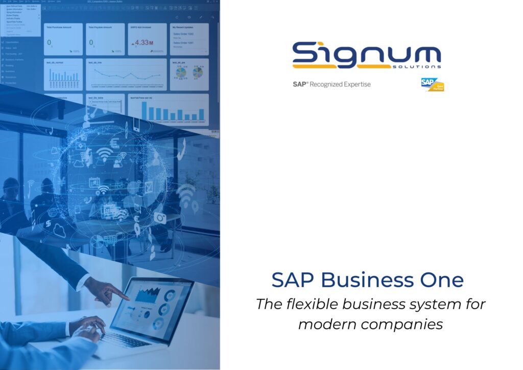 SAP Business One Solution Brief