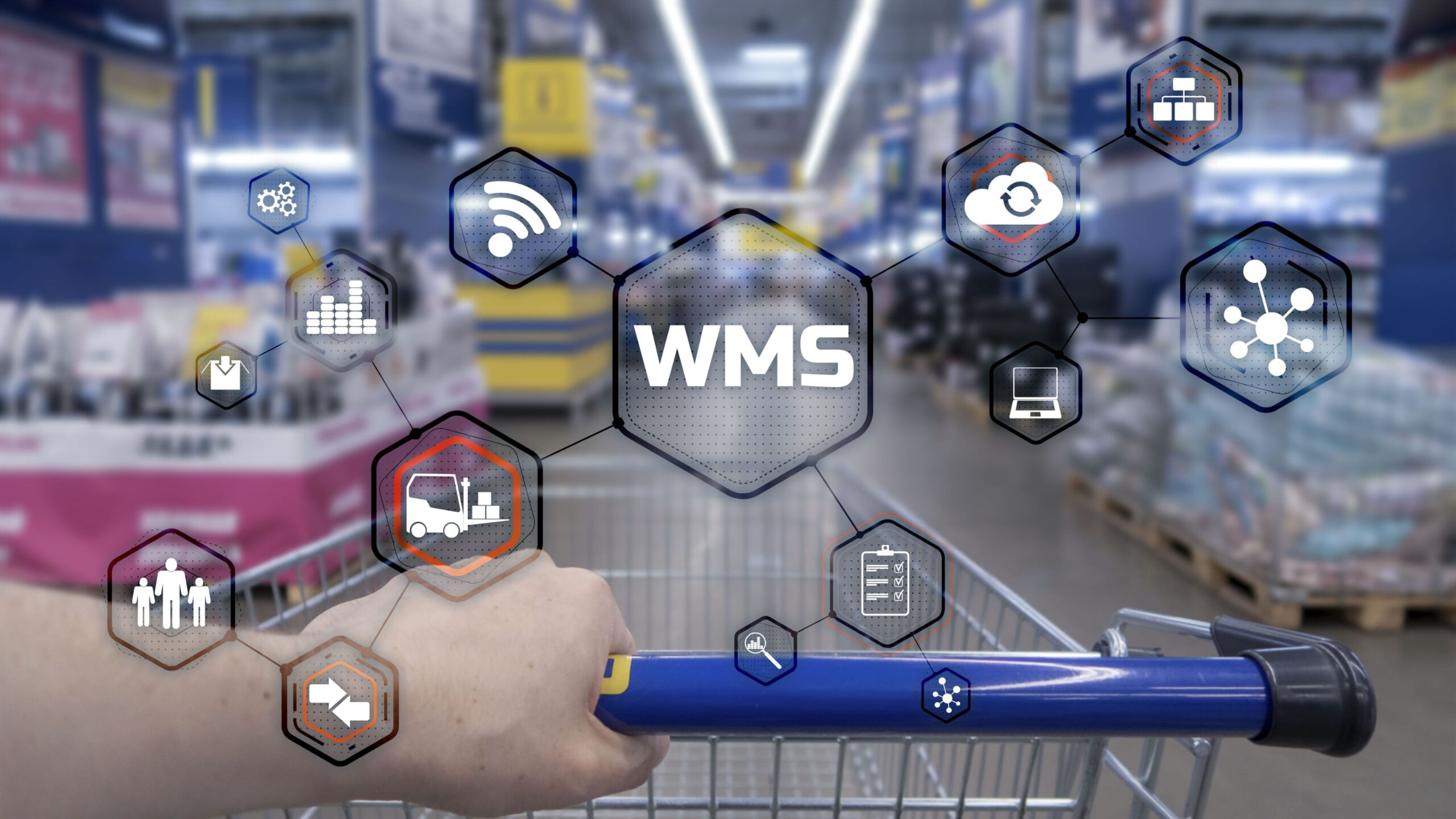 Warehouse Management System (WMS) Integration with SAP Business One