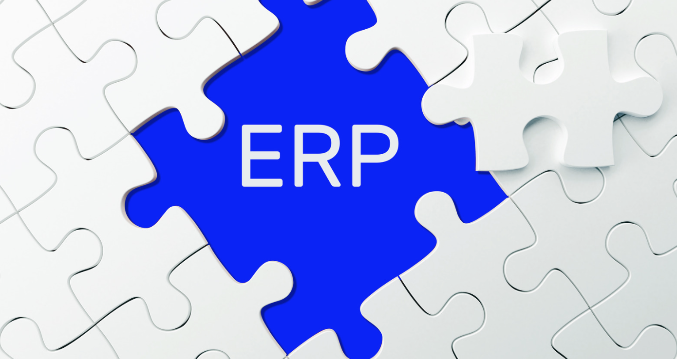 Tailored ERP Solutions