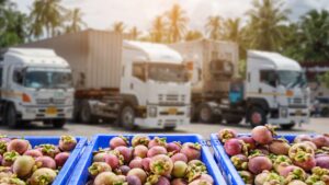 How SAP Business One Supports Seasonal Demand in Food Distribution