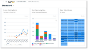 SAP Business One Web Client Analytics