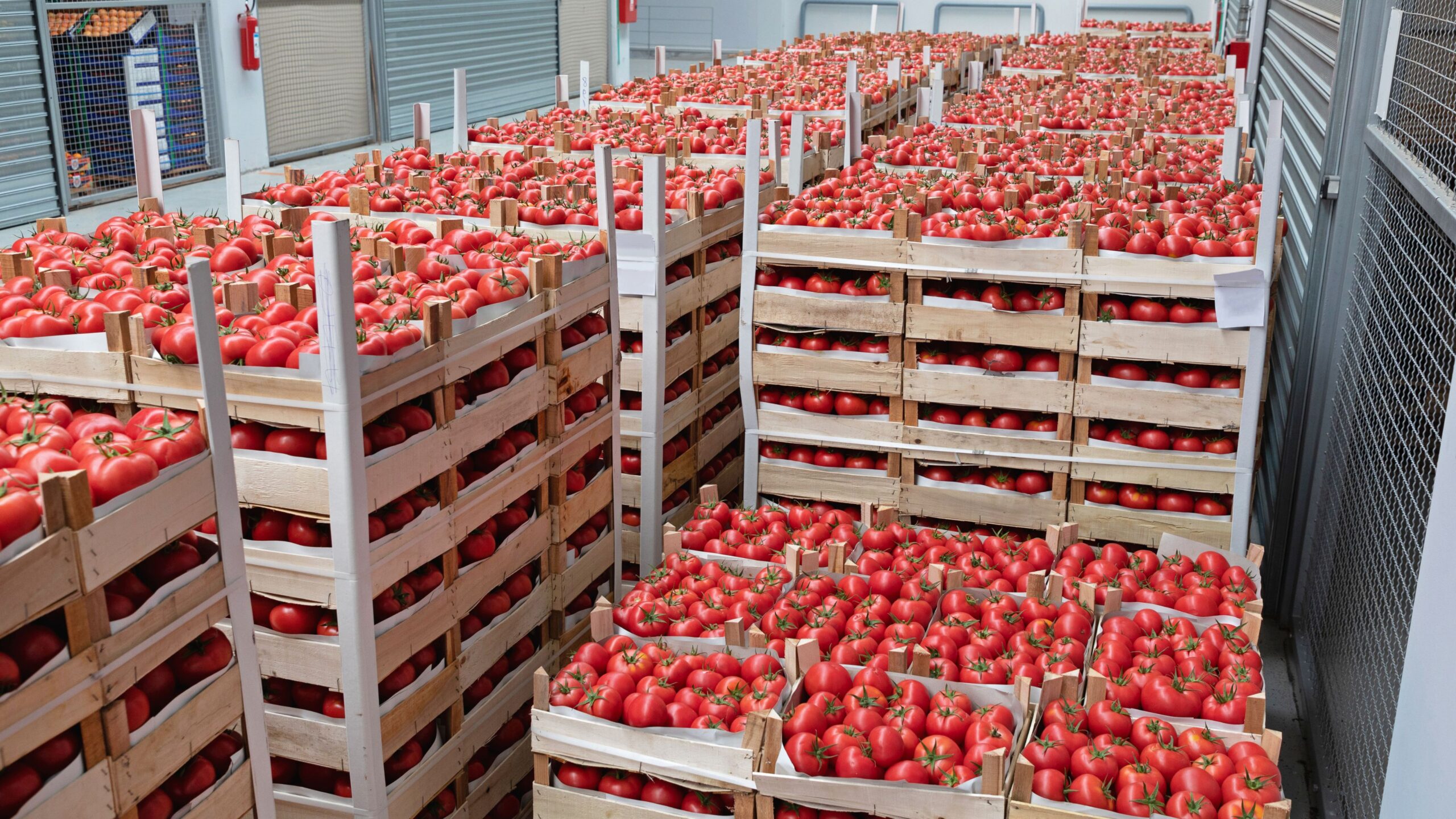 The SAP Solution Keeping UK Food Wholesalers’ Businesses Fresh